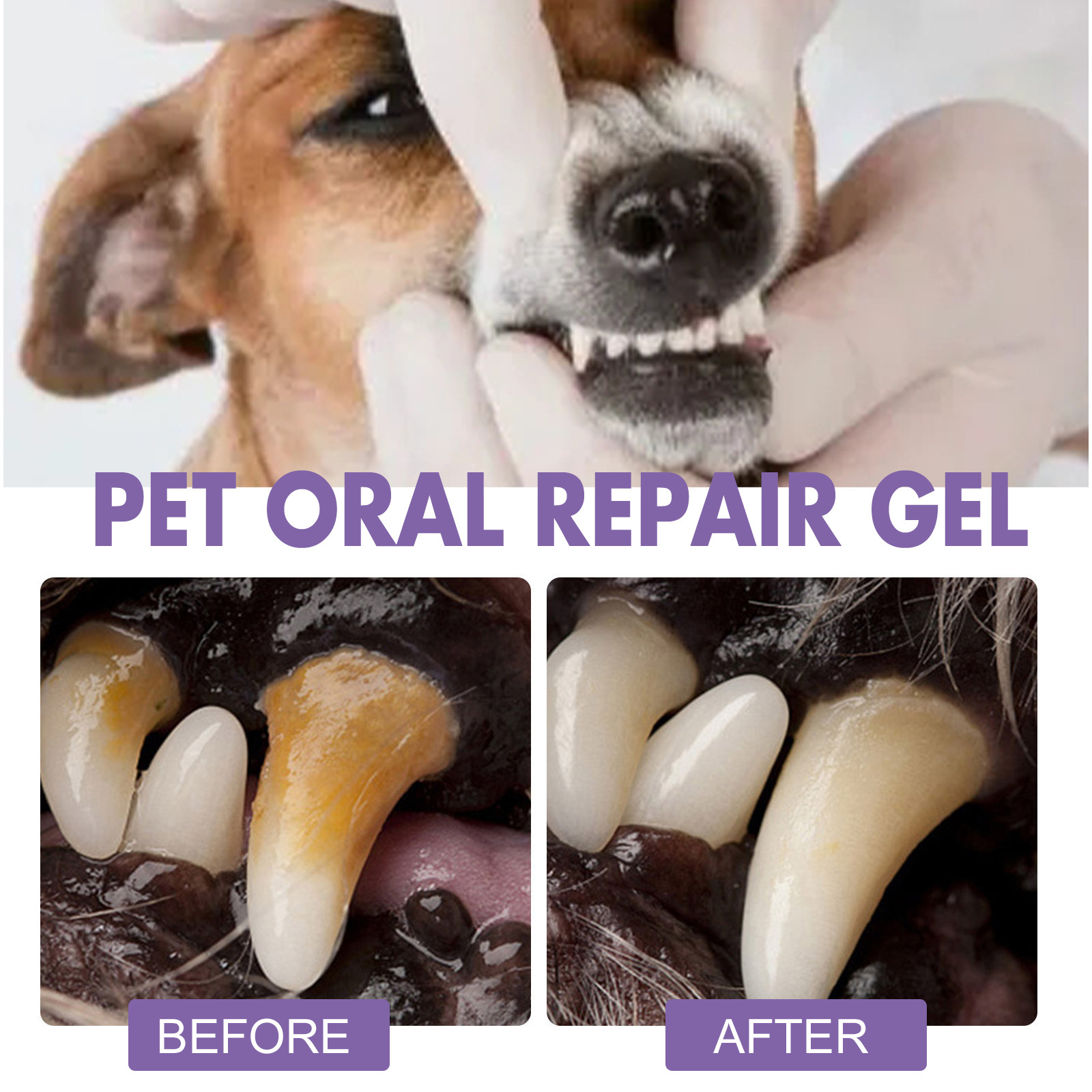 Pet Oral Repair Gel Puppy Tart - Teeth Whitening Products recension och pris